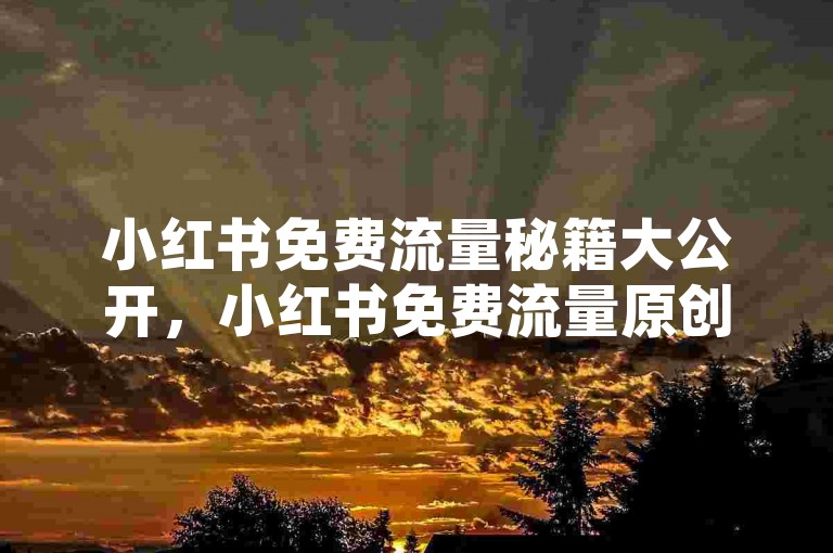 小红书免费流量秘籍大公开，小红书免费流量原创技巧全解析！2024必备-小红书涨粉入口在哪