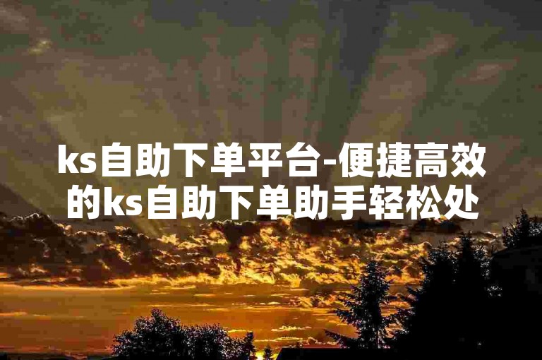 ks自助下单平台-便捷高效的ks自助下单助手轻松处理业务-微信卡盟自助下单随时-ks24h自助下单站点