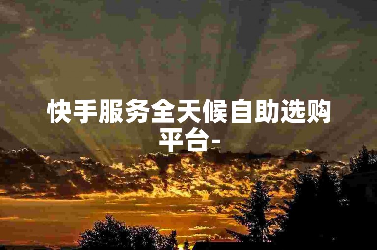快手服务全天候自助选购平台-