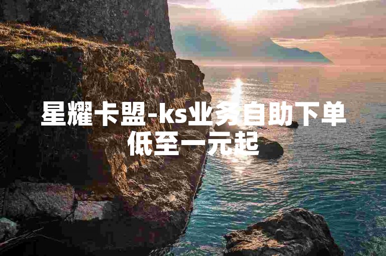 星耀卡盟-ks业务自助下单低至一元起