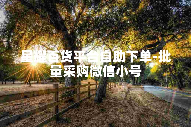 星耀百货平台自助下单-批量采购微信小号