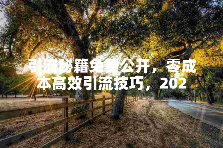 引流秘籍免费公开，零成本高效引流技巧，2025轻松掌握！
