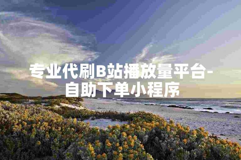 专业代刷B站播放量平台-自助下单小程序