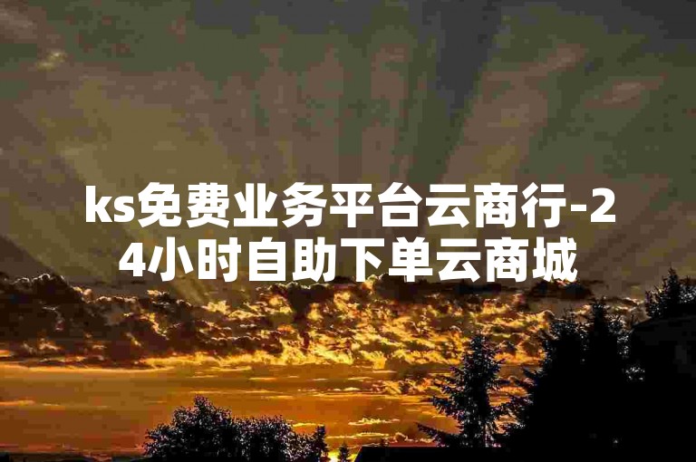 ks免费业务平台云商行-24小时自助下单云商城