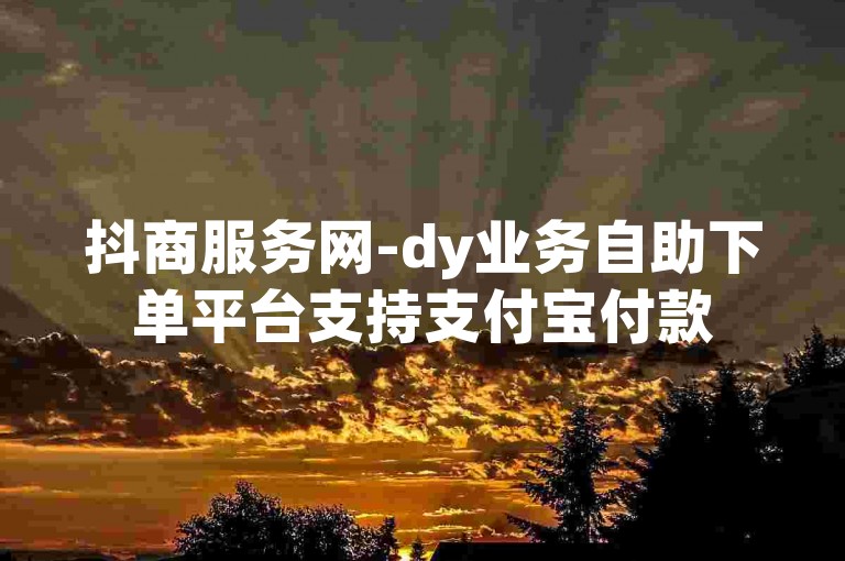 抖商服务网-dy业务自助下单平台支持支付宝付款