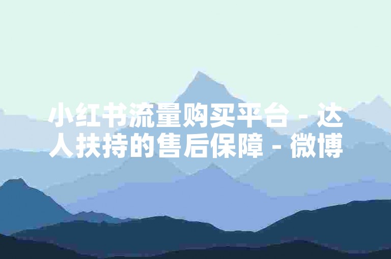 小红书流量购买平台 - 达人扶持的售后保障 - 微博随时下单渠道安全否