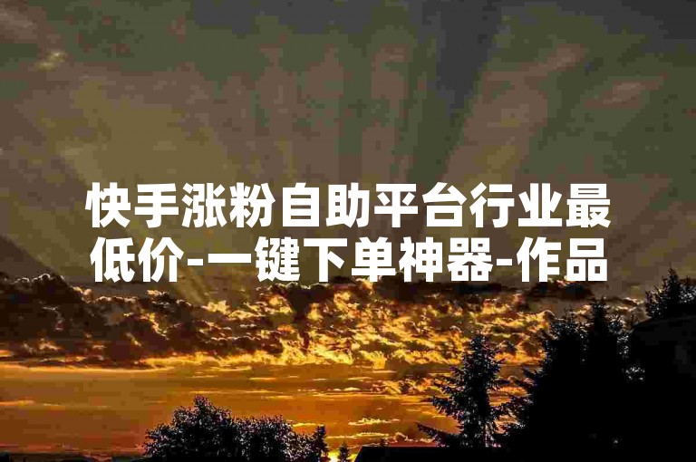 快手涨粉自助平台行业最低价-一键下单神器-作品热度提升-业务自助办理中心