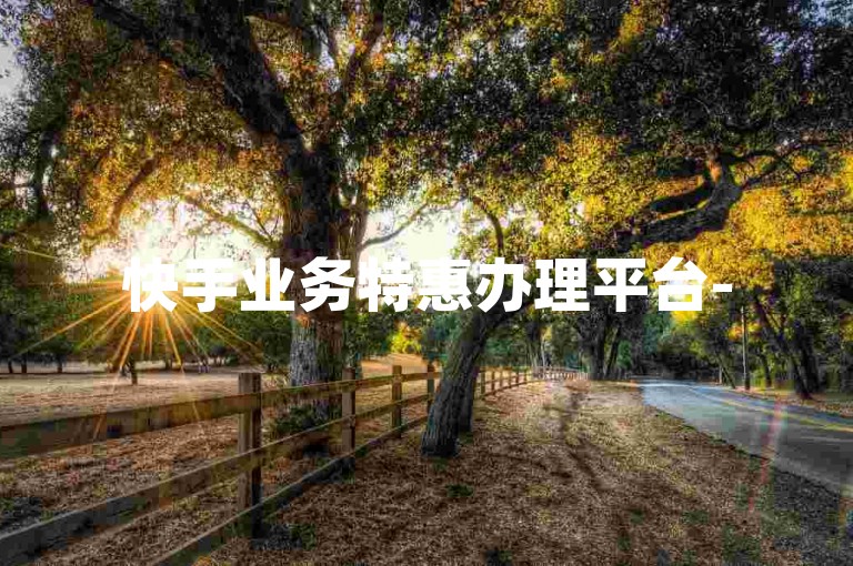 快手业务特惠办理平台-