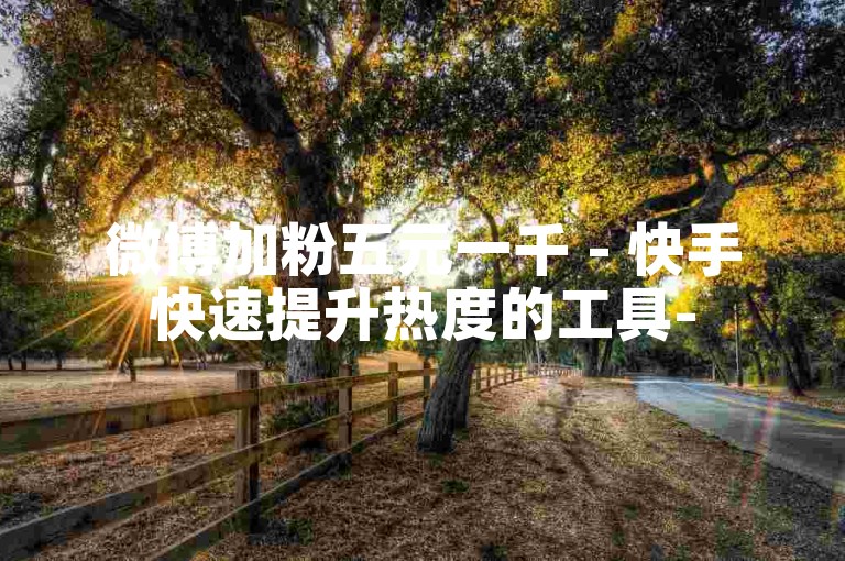 微博加粉五元一千 - 快手快速提升热度的工具-
