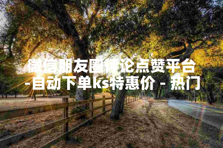 微信朋友圈评论点赞平台-自动下单ks特惠价 - 热门商城抖音业务 - 微微商城自助平台