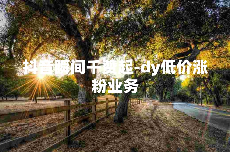 抖音瞬间千赞起-dy低价涨粉业务