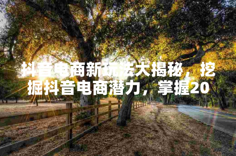 抖音电商新玩法大揭秘，挖掘抖音电商潜力，掌握2024热门技巧！