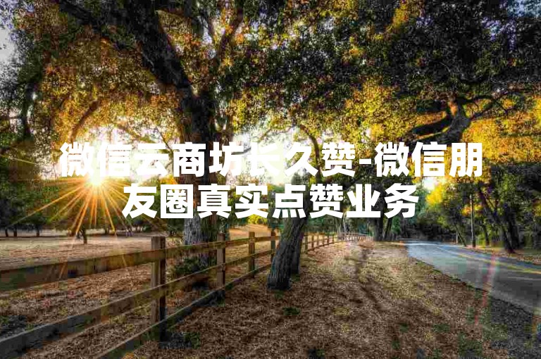 微信云商坊长久赞-微信朋友圈真实点赞业务