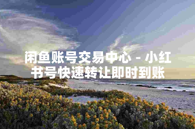 闲鱼账号交易中心 - 小红书号快速转让即时到账