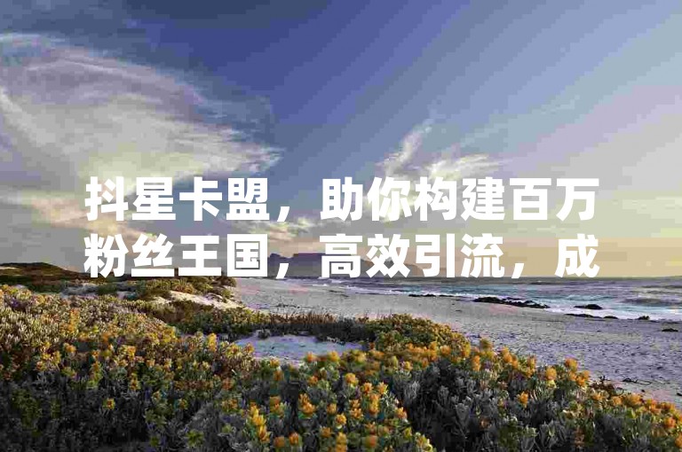 抖星卡盟，助你构建百万粉丝王国，高效引流，成就品牌传播首选平台-dy卡盟自助下单系统全新上线!