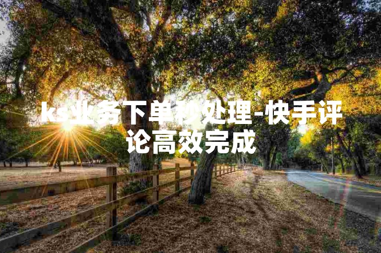 ks业务下单秒处理-快手评论高效完成