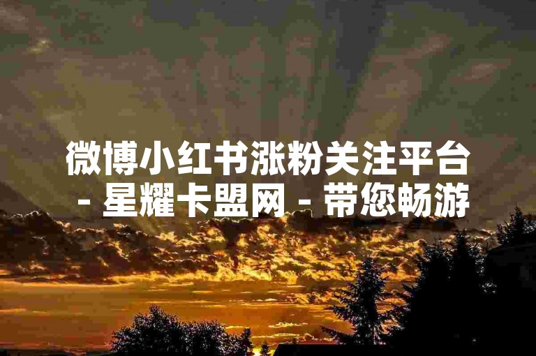微博小红书涨粉关注平台 - 星耀卡盟网 - 带您畅游流量世界
