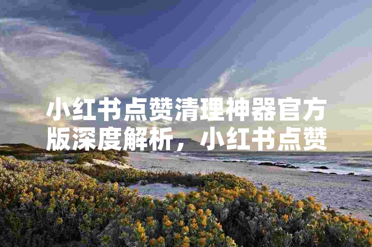 小红书点赞清理神器官方版深度解析，小红书点赞清理神器官方版使用方法！2025必备-