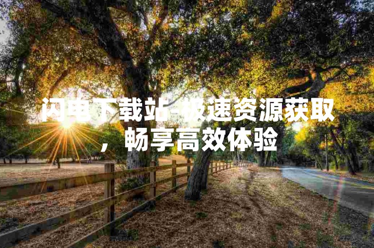 闪电下载站-极速资源获取，畅享高效体验