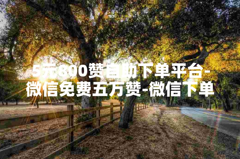5元800赞自助下单平台-微信免费五万赞-微信下单站全网超低价-卡盟微信号专营