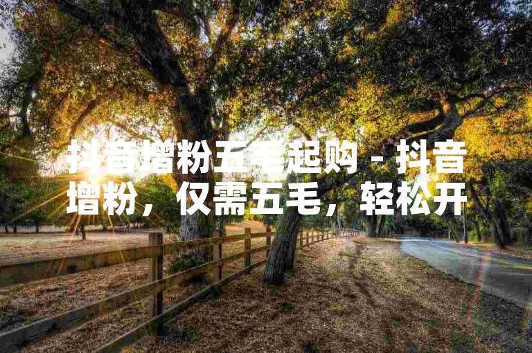 抖音增粉五毛起购 - 抖音增粉，仅需五毛，轻松开启推广！