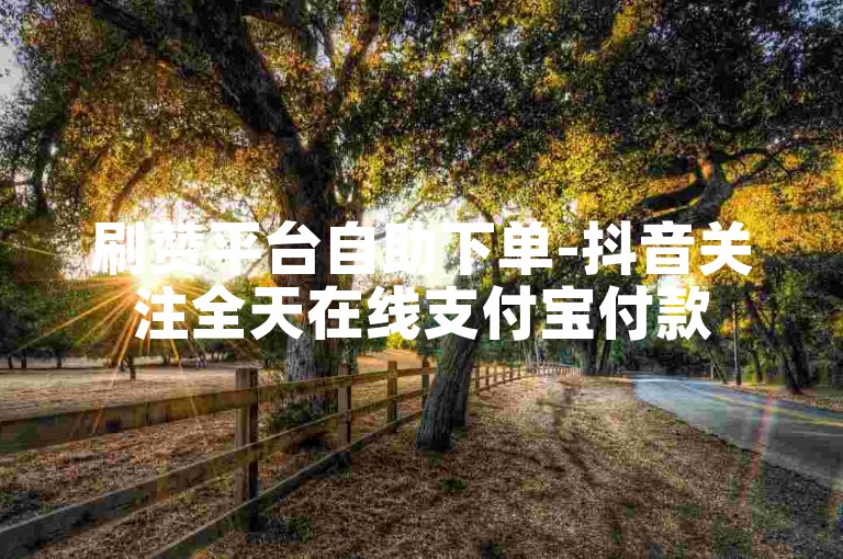 刷赞平台自助下单-抖音关注全天在线支付宝付款