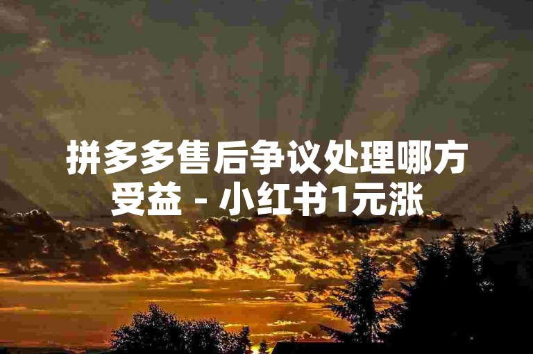 拼多多售后争议处理哪方受益 - 小红书1元涨5000粉