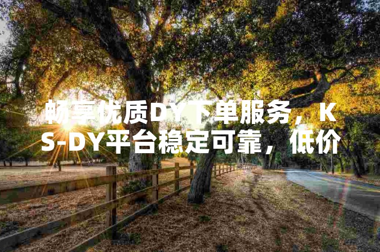 畅享优质DY下单服务，KS-DY平台稳定可靠，低价好物随心选！