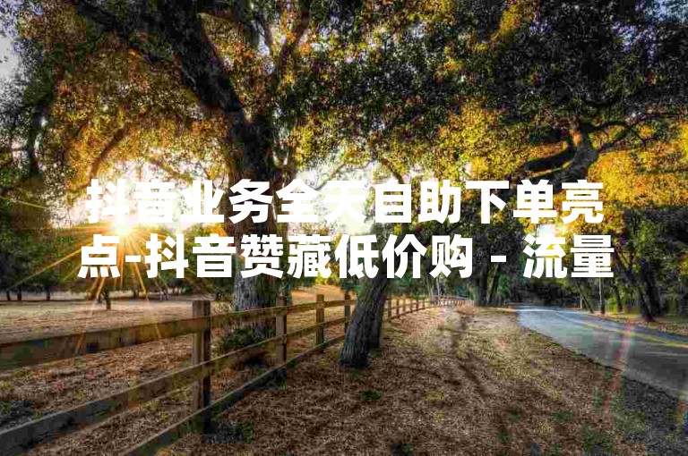抖音业务全天自助下单亮点-抖音赞藏低价购 - 流量提升轻松搞定 - 空间便捷下单服务