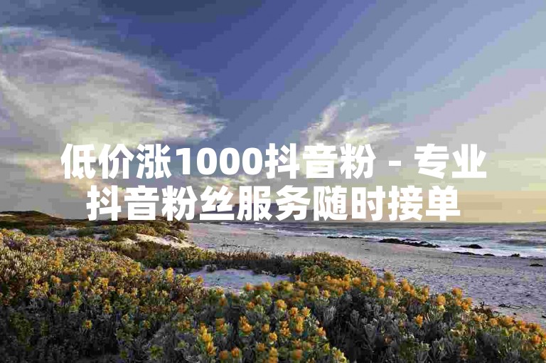 低价涨1000抖音粉 - 专业抖音粉丝服务随时接单
