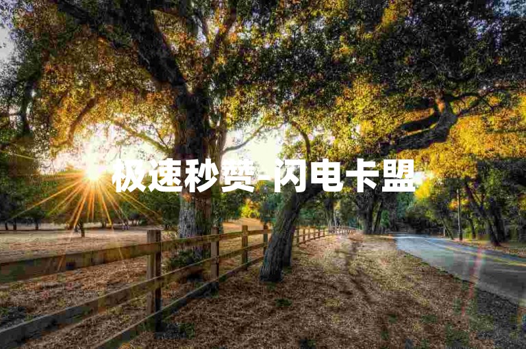 极速秒赞-闪电卡盟