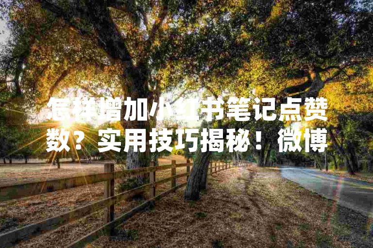 怎样增加小红书笔记点赞数？实用技巧揭秘！微博粉丝充值快速到账优惠-dy自助下单平台薄利超火爆！
