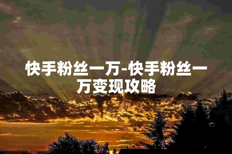 快手粉丝一万-快手粉丝一万变现攻略