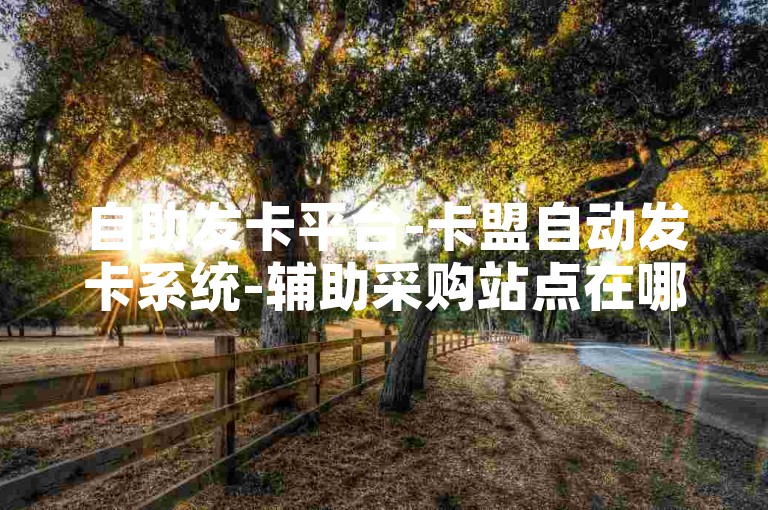 自助发卡平台-卡盟自动发卡系统-辅助采购站点在哪-业务低价免费下单平台