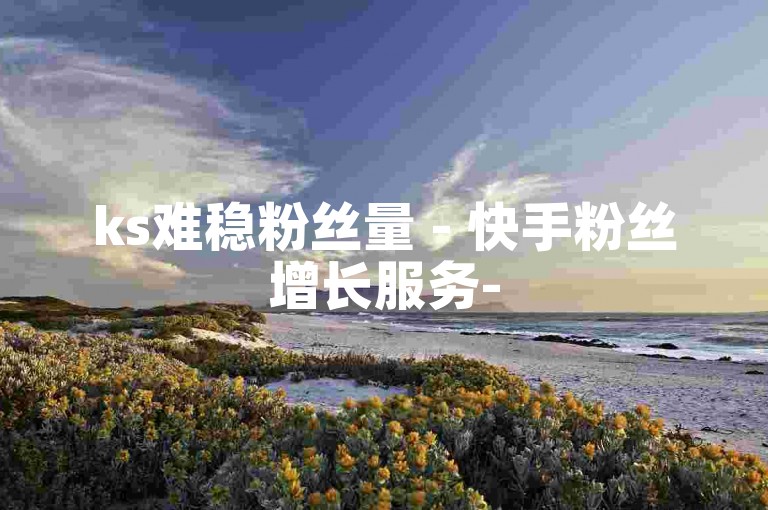 ks难稳粉丝量 - 快手粉丝增长服务-