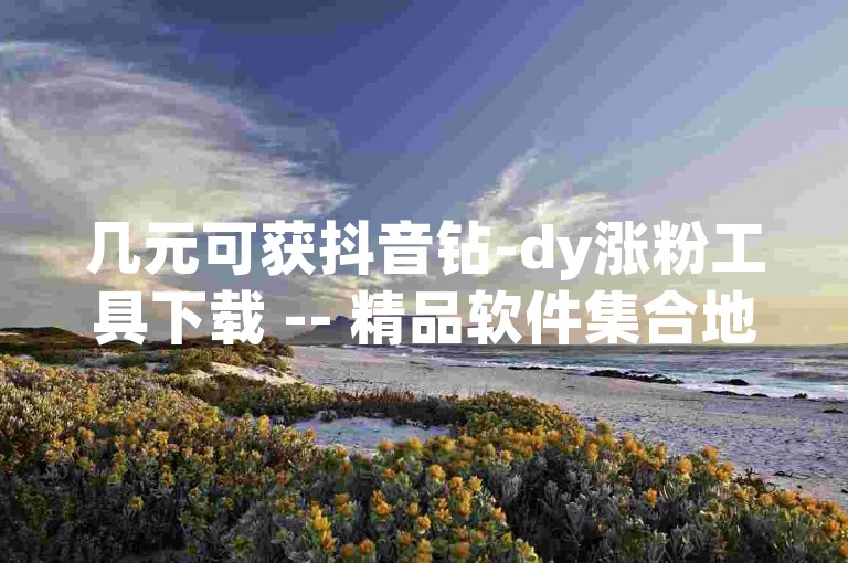 几元可获抖音钻-dy涨粉工具下载 -- 精品软件集合地