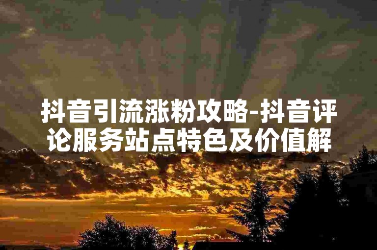 抖音引流涨粉攻略-抖音评论服务站点特色及价值解读