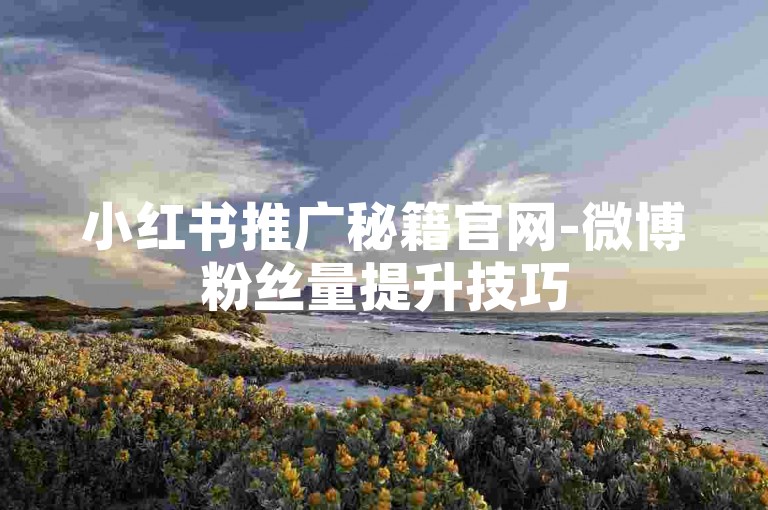 小红书推广秘籍官网-微博粉丝量提升技巧