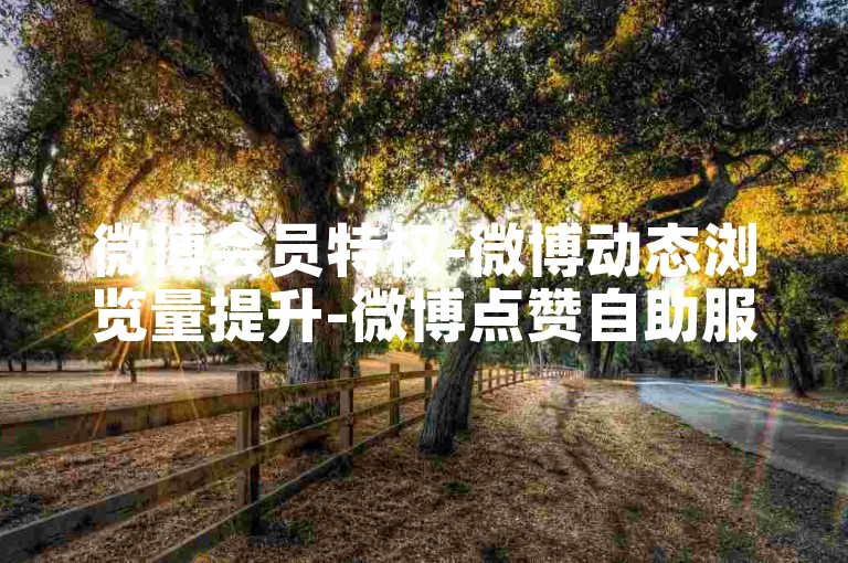 微博会员特权-微博动态浏览量提升-微博点赞自助服务-全平台下单中心