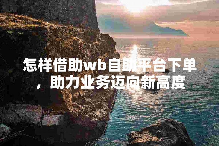 怎样借助wb自助平台下单，助力业务迈向新高度