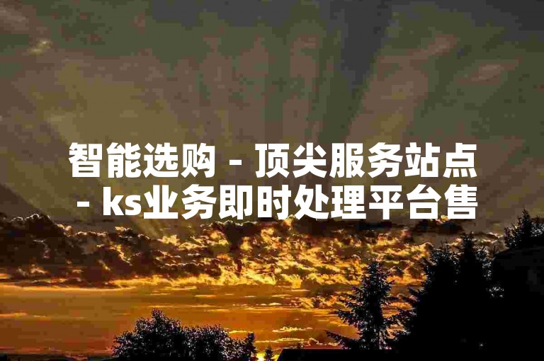 智能选购 - 顶尖服务站点 - ks业务即时处理平台售后无忧