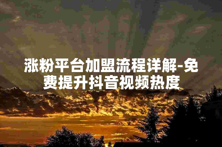涨粉平台加盟流程详解-免费提升抖音视频热度