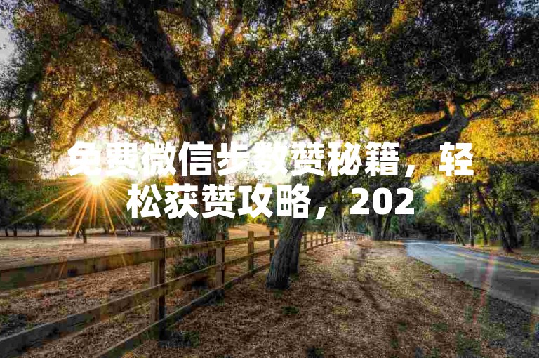 免费微信步数赞秘籍，轻松获赞攻略，2025不容错过！