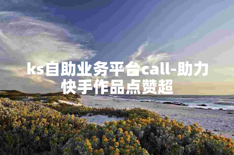 ks自助业务平台call-助力快手作品点赞超50万