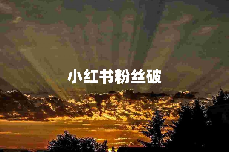 小红书粉丝破5000-