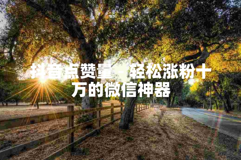 抖音点赞量 - 轻松涨粉十万的微信神器