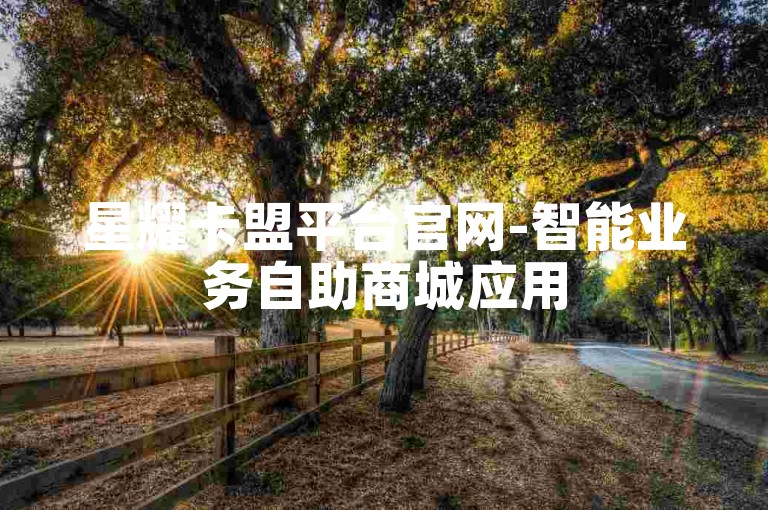 星耀卡盟平台官网-智能业务自助商城应用