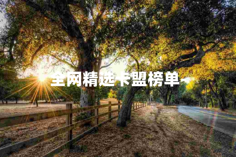 全网精选卡盟榜单-