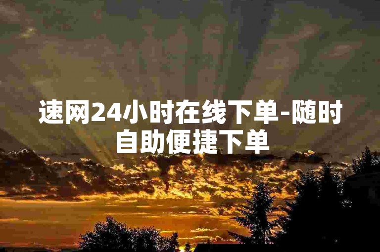 速网24小时在线下单-随时自助便捷下单