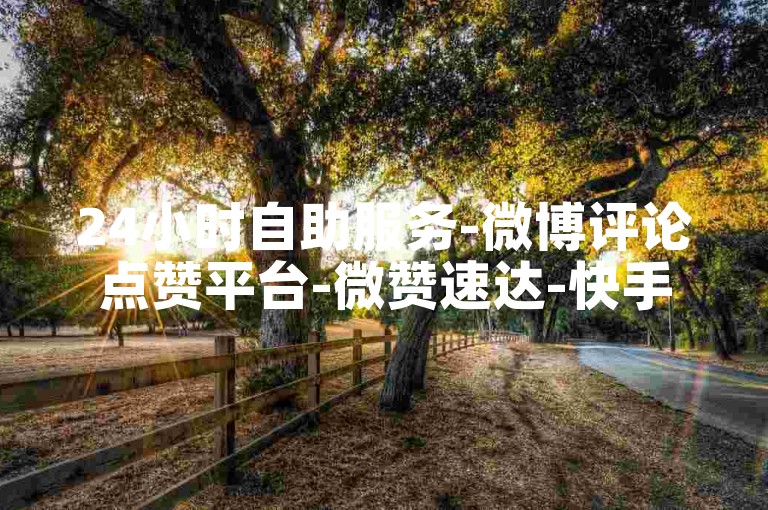 24小时自助服务-微博评论点赞平台-微赞速达-快手24小时免费下单